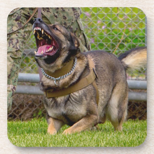 US-MILITÄRHUNDE GETRÄNKEUNTERSETZER (Vorderseite)