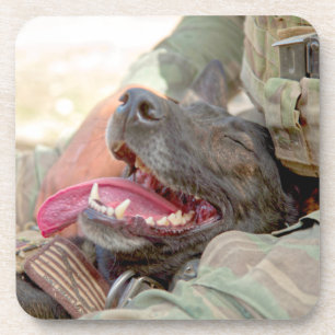 US-MILITÄRHUNDE GETRÄNKEUNTERSETZER