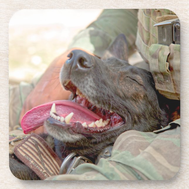 US-MILITÄRHUNDE GETRÄNKEUNTERSETZER (Vorderseite)