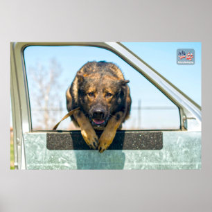 US-MILITÄRISCHER ARBEITSHUND POSTER