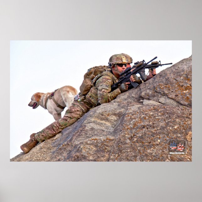 US-MILITÄRISCHER ARBEITSHUND POSTER (Vorne)