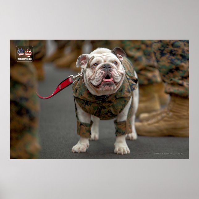 US-MILITÄRISCHER DIENST POSTER (Vorne)