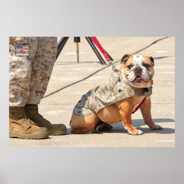US-MILITÄRISCHER DIENST POSTER (Vorne)