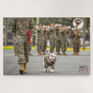 US-MILITÄRISCHER DIENSTLEISTER (20 x 30 Zoll)