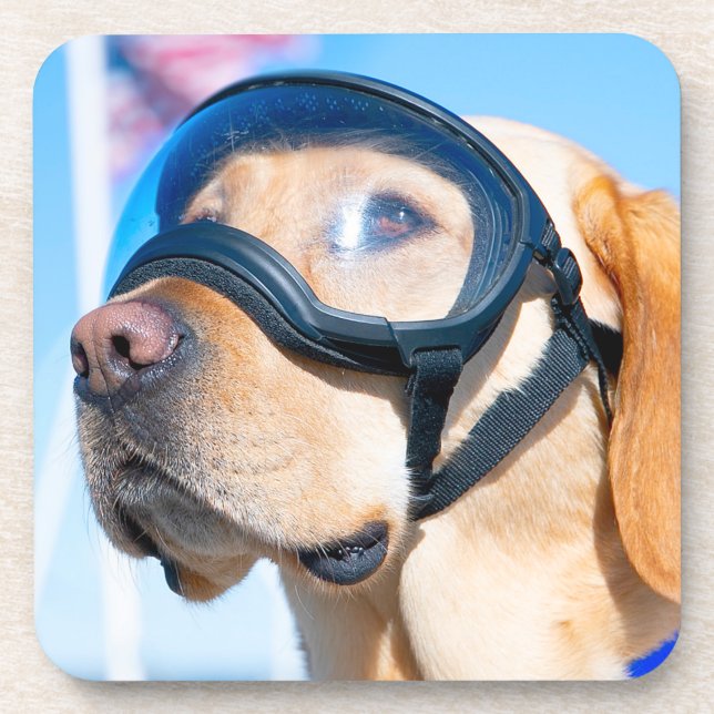 US MILITARY WORKING DOG GETRÄNKEUNTERSETZER (Vorderseite)