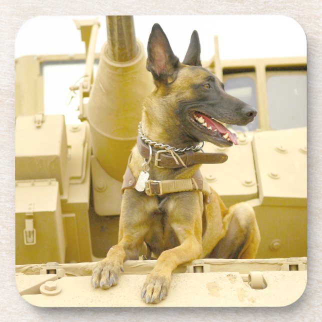US MILITARY WORKING DOG GETRÄNKEUNTERSETZER (Vorderseite)