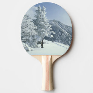 US, NH, Schnee bedeckte Bäume Trails Schneeschuh Tischtennis Schläger
