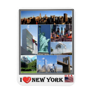 US - USA - New York Magnet