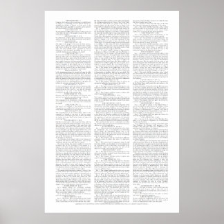 US-Verfassungsänderungspaket Poster