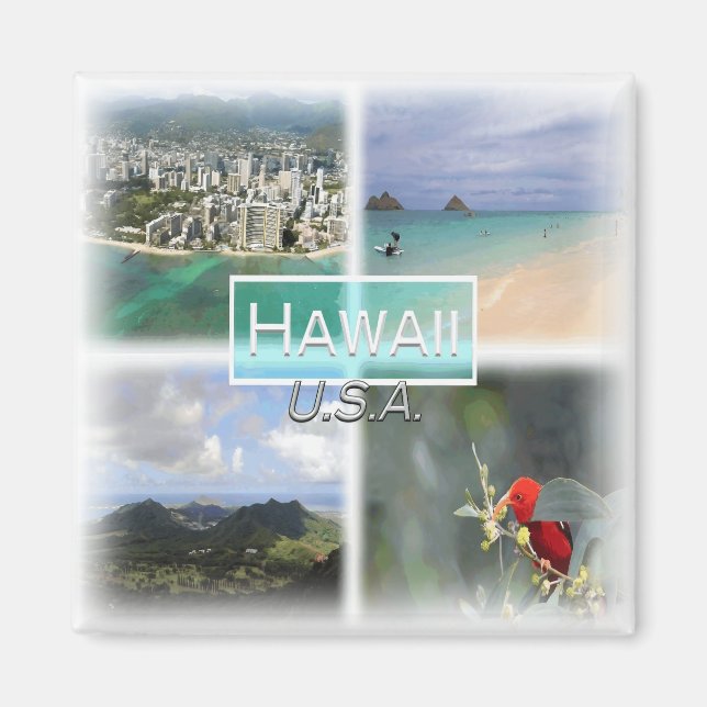USA0145 Amerika, Vereinigte Staaten, Hawaii, Kühls Magnet (Vorne)