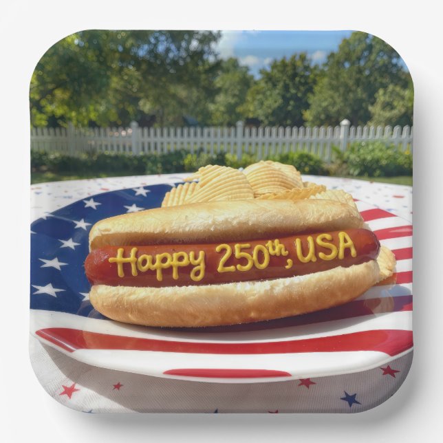 USA 250. Geburtstag Hot Dog Pappteller (Vorderseite)
