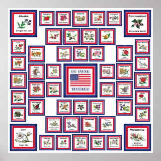 USA 50 STAAT BLUME WHITE/559 POSTER