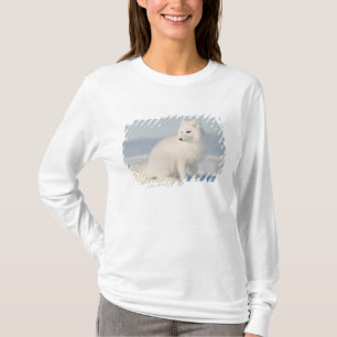 USA, Alaska, 1002 Küstenlinie Schlicht der Arktis  T-Shirt