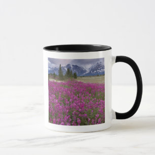 USA, Alaska, Alsek River Valley. Ansicht Tasse