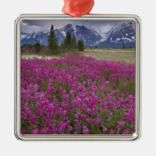 USA, Alaska, Alsek River Valley. Ansicht von Ornament Aus Metall