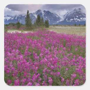 USA, Alaska, Alsek River Valley. Ansicht von Quadratischer Aufkleber