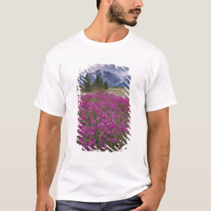 USA, Alaska, Alsek River Valley. Ansicht von T-Shirt