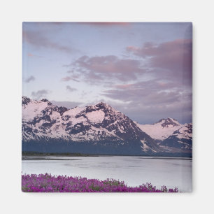 USA, Alaska, Alsek River Valley. Blick auf Alsek Magnet