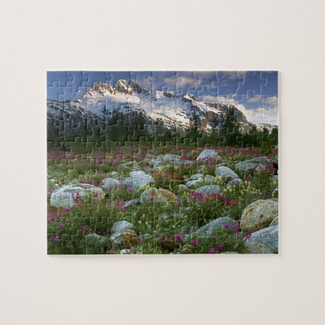 USA, Alaska, Alsek-Tatshenshini Wilderness.Ansehen (Horizontal)