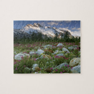 USA, Alaska, Alsek-Tatshenshini-Wilderness. Ansich