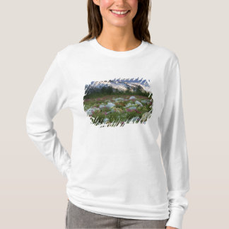 USA, Alaska, Alsek-Tatshenshini-Wilderness. Ansich T-Shirt