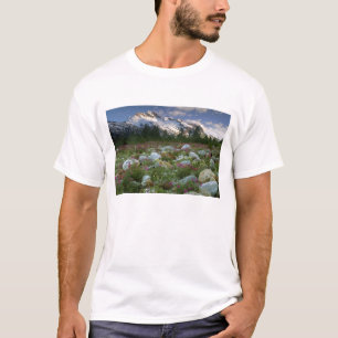 USA, Alaska, Alsek-Tatshenshini-Wilderness. Ansich T-Shirt