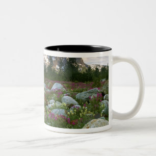 USA, Alaska, Alsek-Tatshenshini-Wilderness. Ansich Zweifarbige Tasse