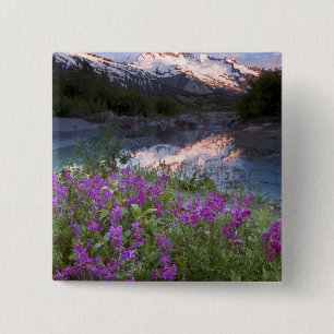 USA, Alaska, Alsek-Tatshenshini Wilderness. Button