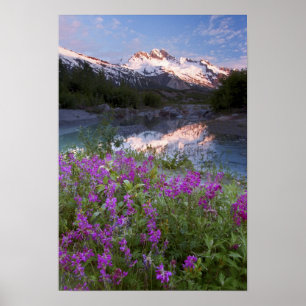USA, Alaska, Alsek-Tatshenshini Wilderness. Poster