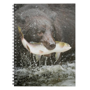 USA, Alaska, Anan Creek. Nahaufnahme eines Schwarz Notizblock