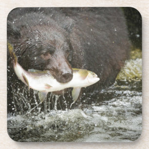 USA, Alaska, Anan Creek. Nahaufnahme eines Schwarz Untersetzer