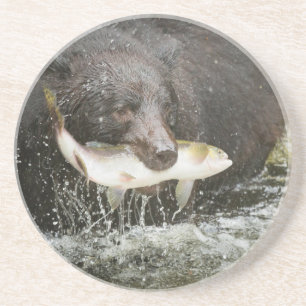 USA, Alaska, Anan Creek. Naher Schwarzer Bär Getränkeuntersetzer
