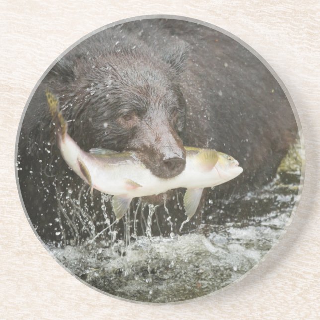 USA, Alaska, Anan Creek. Naher Schwarzer Bär Getränkeuntersetzer (Vorne)