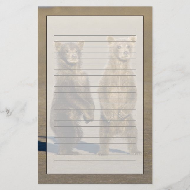 USA. Alaska. Bärenjungen Briefpapier (Vorderseite)