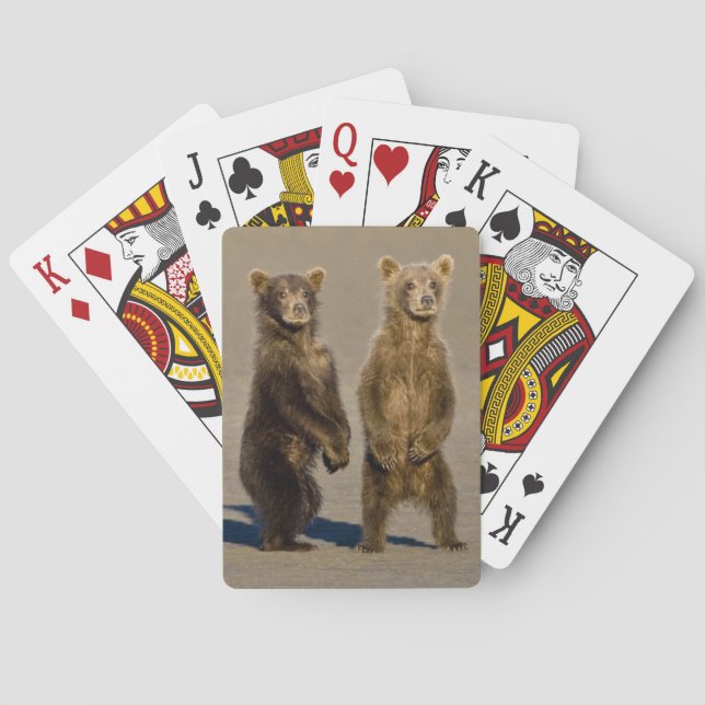 USA. Alaska. Bärenjungen Spielkarten (Rückseite)