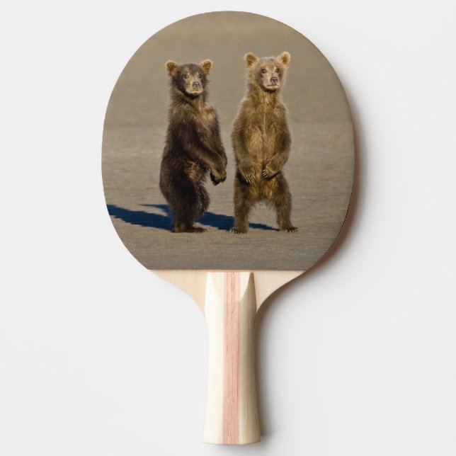 USA. Alaska. Bärenjungen Tischtennis Schläger (Vorderseite)