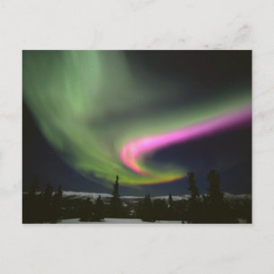 USA, Alaska, Chena Hot Springs. Aurora 2 Postkarte