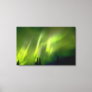 USA, Alaska, Chena Hot Springs. Aurora 3 Leinwanddruck