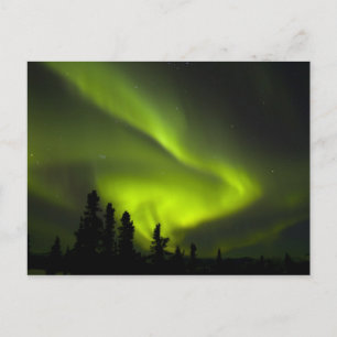 USA, Alaska, Chena Hot Springs. Aurora Borealis 2 Postkarte