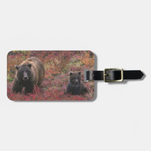 USA, Alaska, Denali-Nationalpark. Grizzlybär Gepäckanhänger