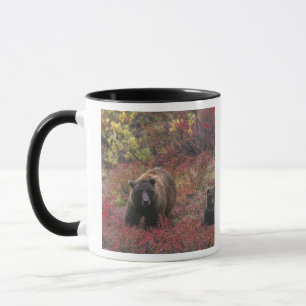 USA, Alaska, Denali-Nationalpark. Grizzlybär Tasse