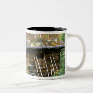 USA, Alaska, Denali-Nationalpark, Kantishna. Zweifarbige Tasse