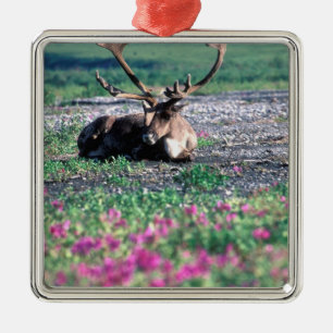 USA, Alaska, Denali-Nationalpark, Karibu Ornament Aus Metall