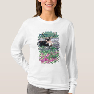 USA, Alaska, Denali-Nationalpark, Karibu T-Shirt