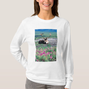USA, Alaska, Denali-Nationalpark, Karibu T-Shirt