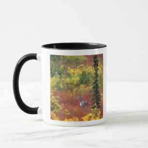 USA, Alaska, Denali-Nationalpark. Karibu Tasse