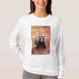 USA, Alaska, Denali NP, weiblicher Grizzlybär T-Shirt