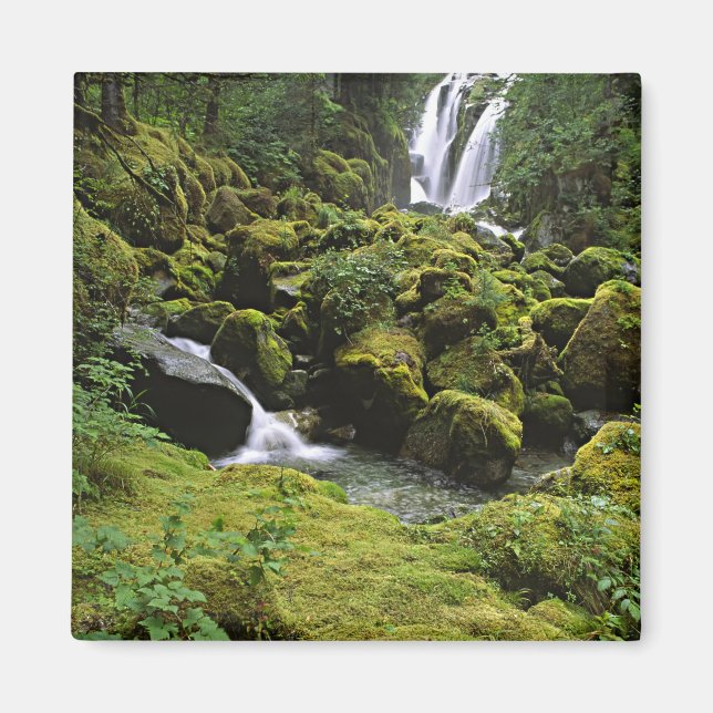 USA, Alaska. Ein Wasserfall und Magnet (Vorne)
