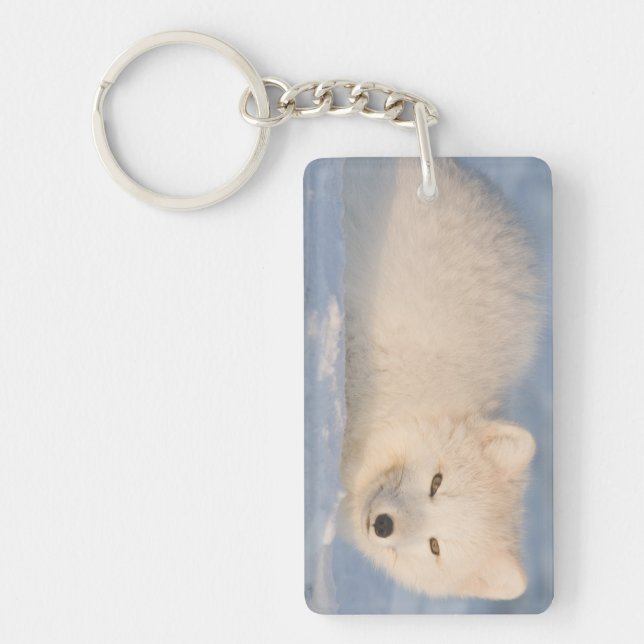 USA, Alaska, Fox Schlüsselanhänger (Vorderseite)