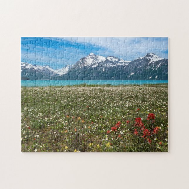 USA, Alaska, Glacier Bay National Park 2 (Horizontal)